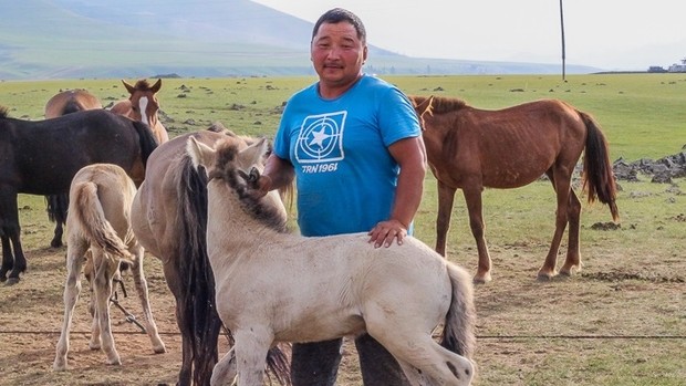 Rencontre avec une famille Mongole et ses bêtes