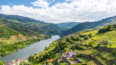 Sur la route des vins du Minho au Douro
