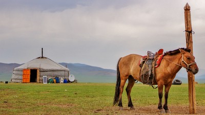 J’ai rencontré une famille de Mongolie , éleveuse de yaks
