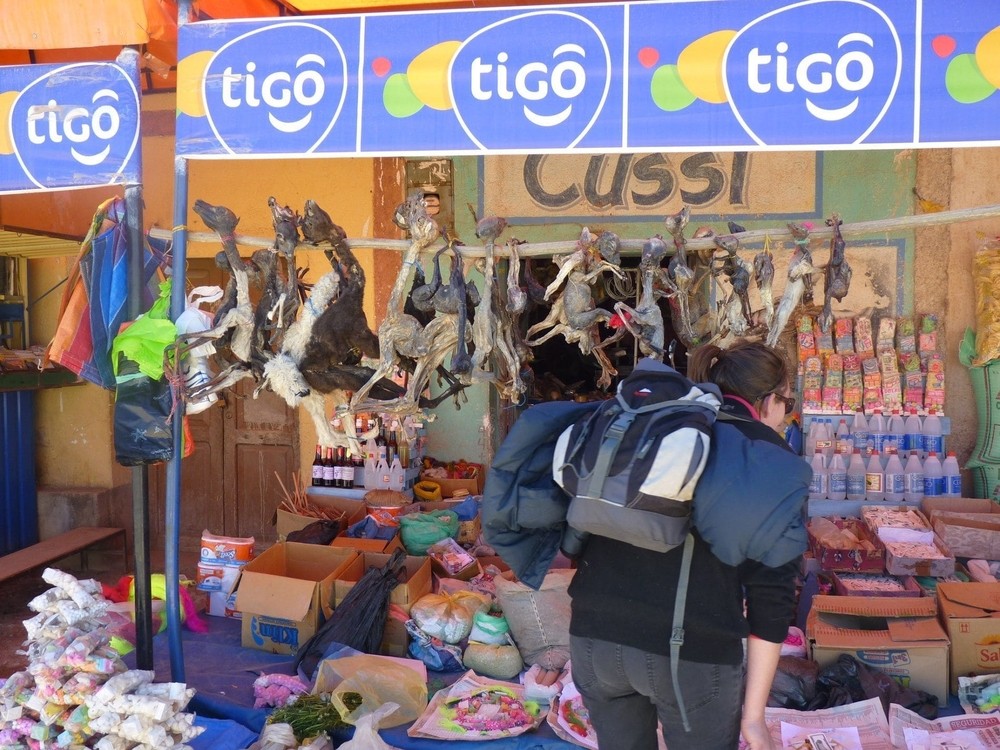 Marché des sorcières La Paz Bolivie