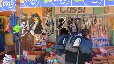 Superstitions dans le monde : la Bolivie