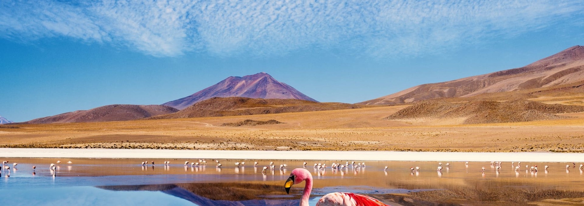 Les incontournables de la Bolivie