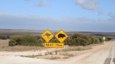 Mes 3 expériences insolites en Australie