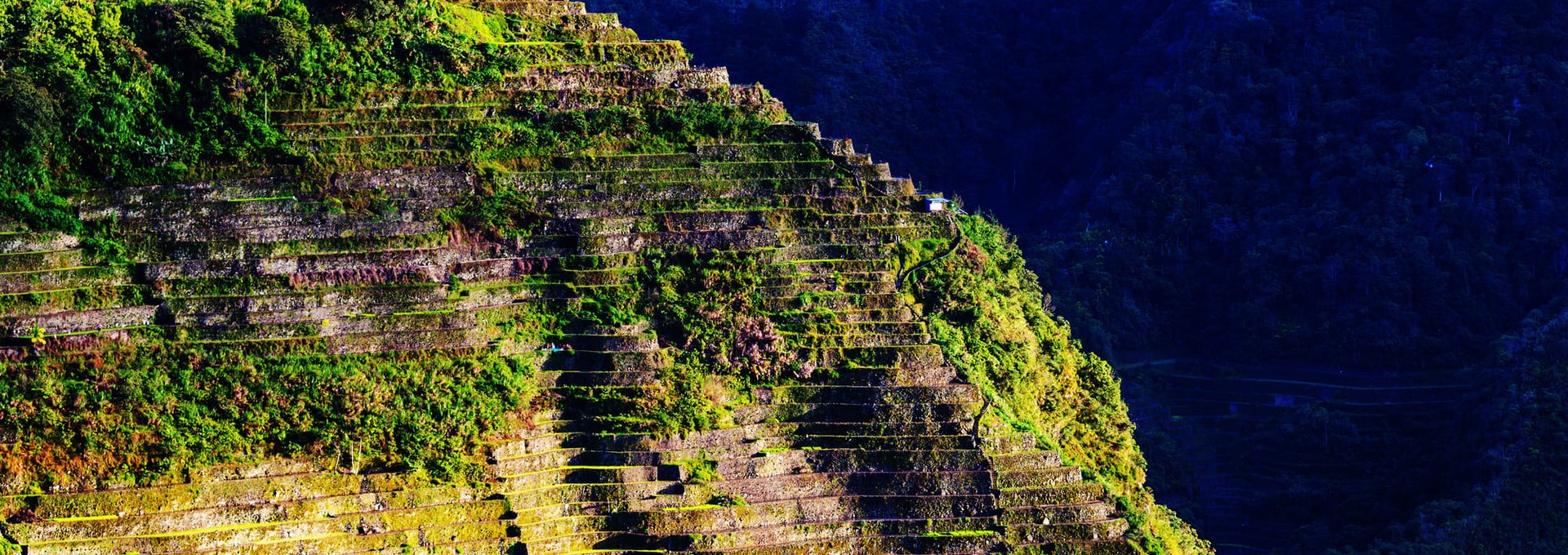Randonnées dans les rizières Ifugao