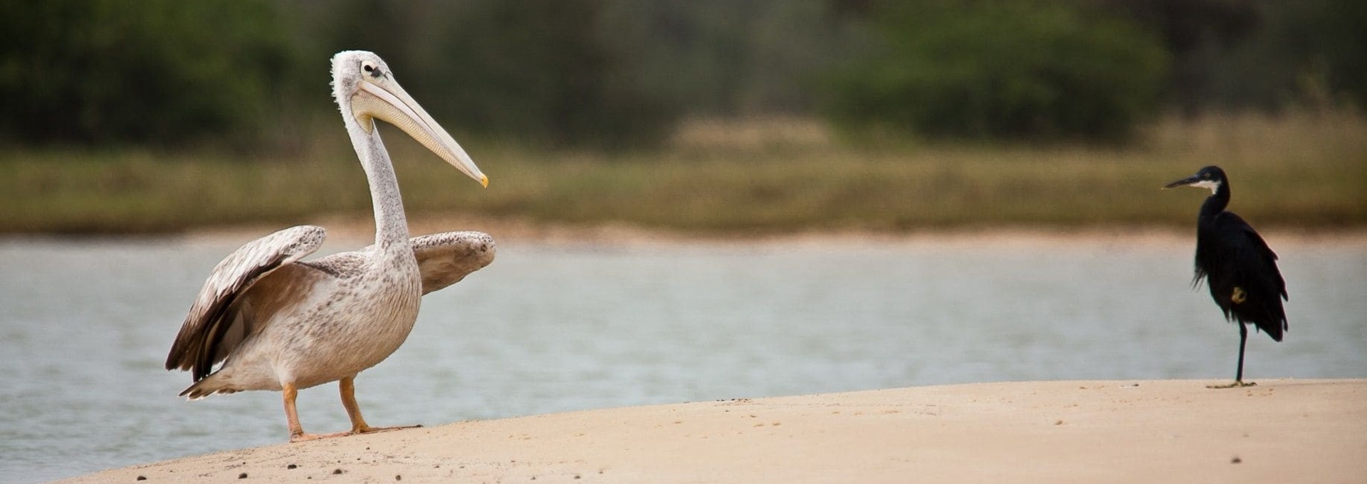 Croisière au Sénégal sur la Reine du Fleuve
