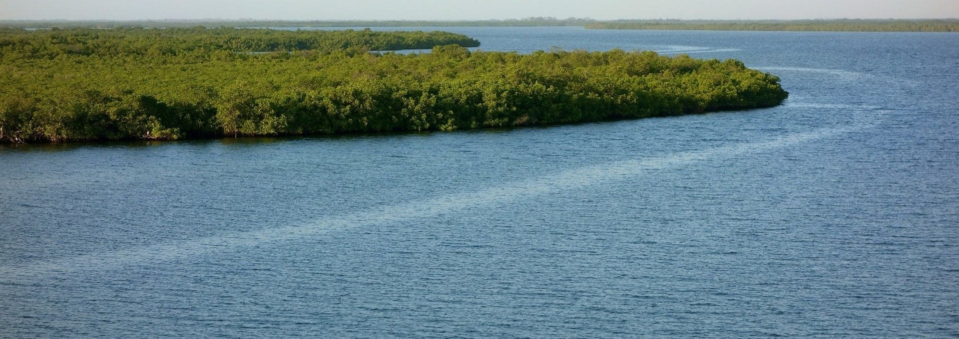 Sur les rives du Delta du Saloum