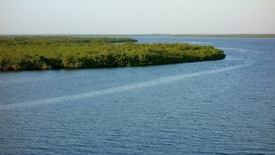 Sur les rives du Delta du Saloum