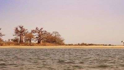Périple entre Saloum, pays Bédik et Bassari