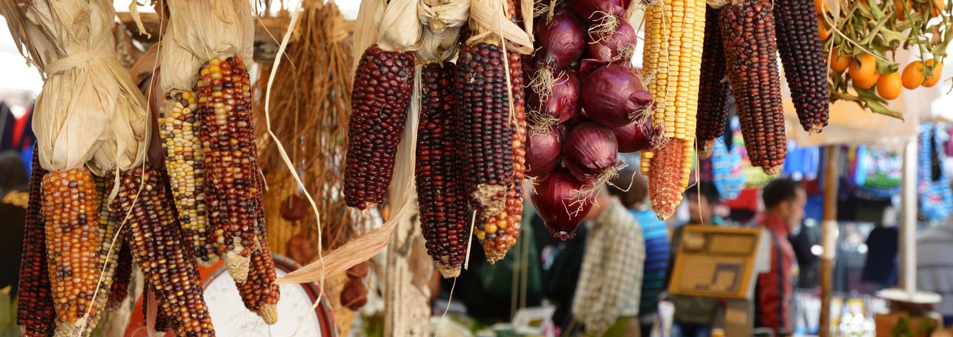 Balade gastronomique dans les quartiers populaires de Rome