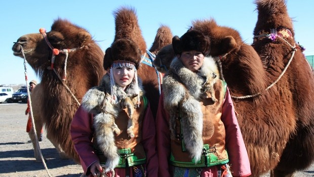 Festival des 1000 chameaux en Mongolie