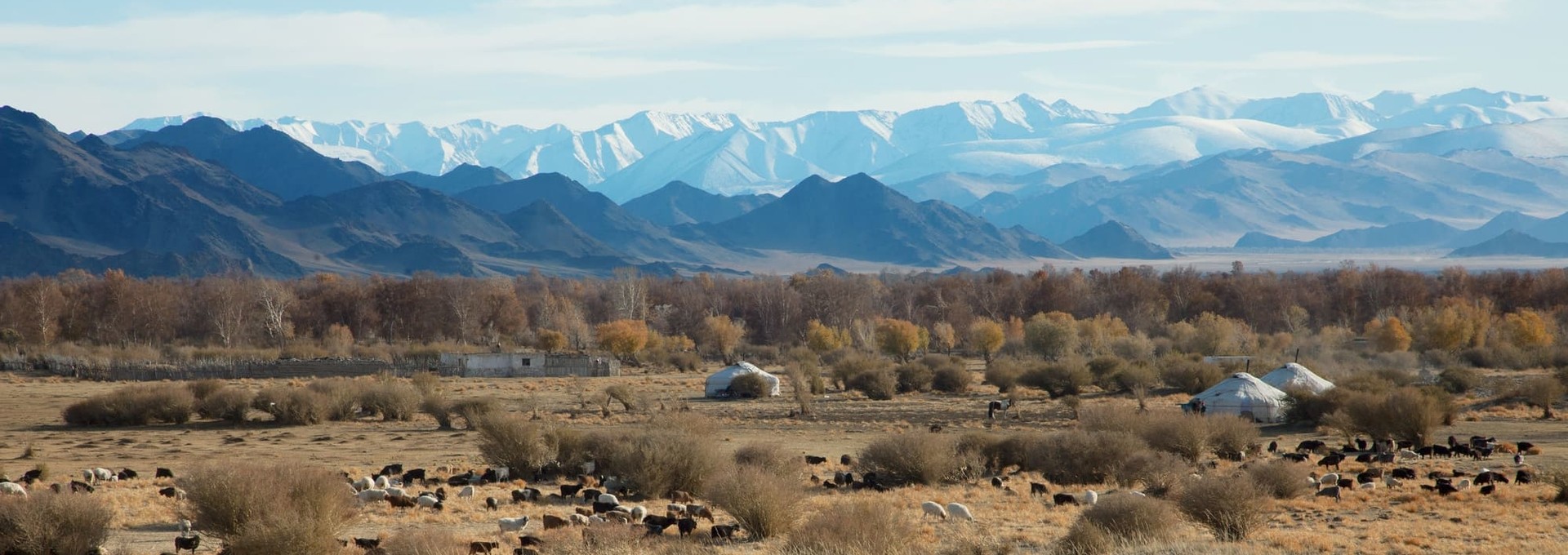 Construire sa yourte !