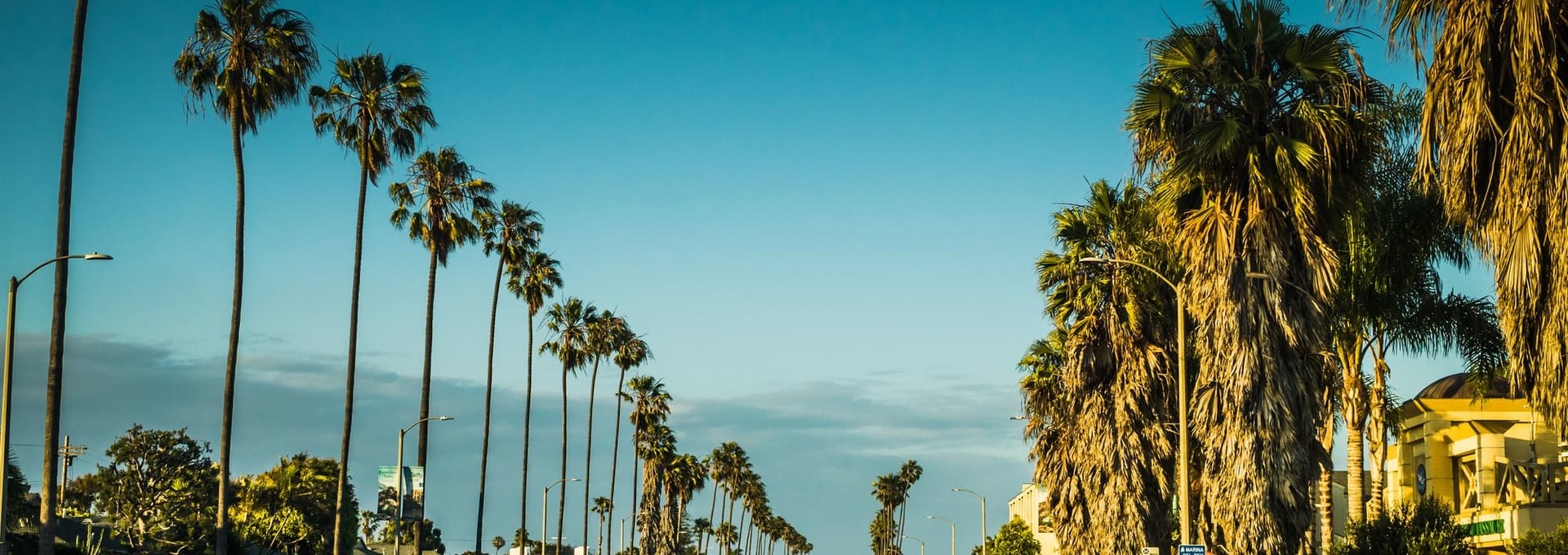 La route des vins en Ford Mustang Classic