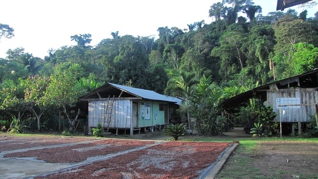 Cabanes Amazonie pérou