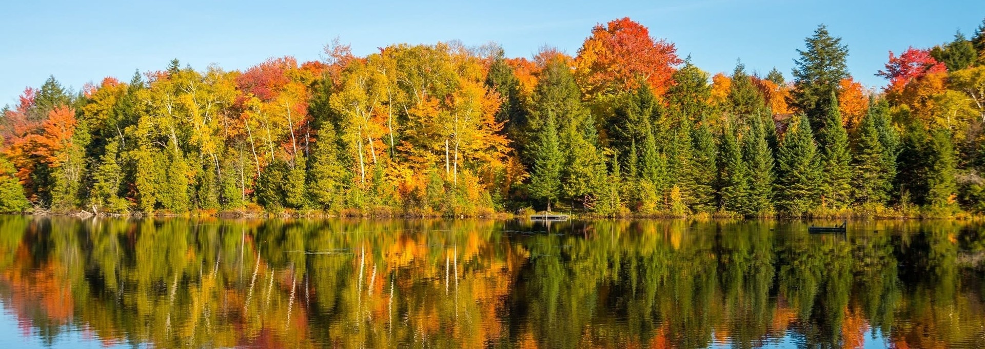 Découverte amérindienne