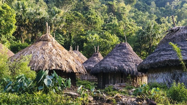 Les kogis en Colombie