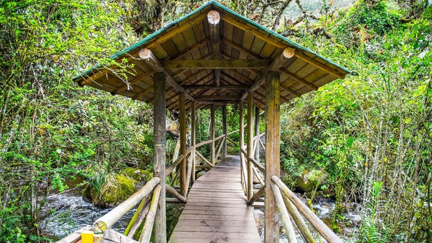 Pont de singe vers le village