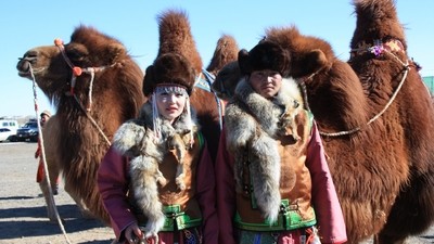 Le festival des 1000 chameaux en Mongolie