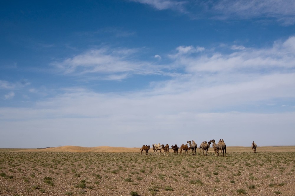 Désert de Gobi