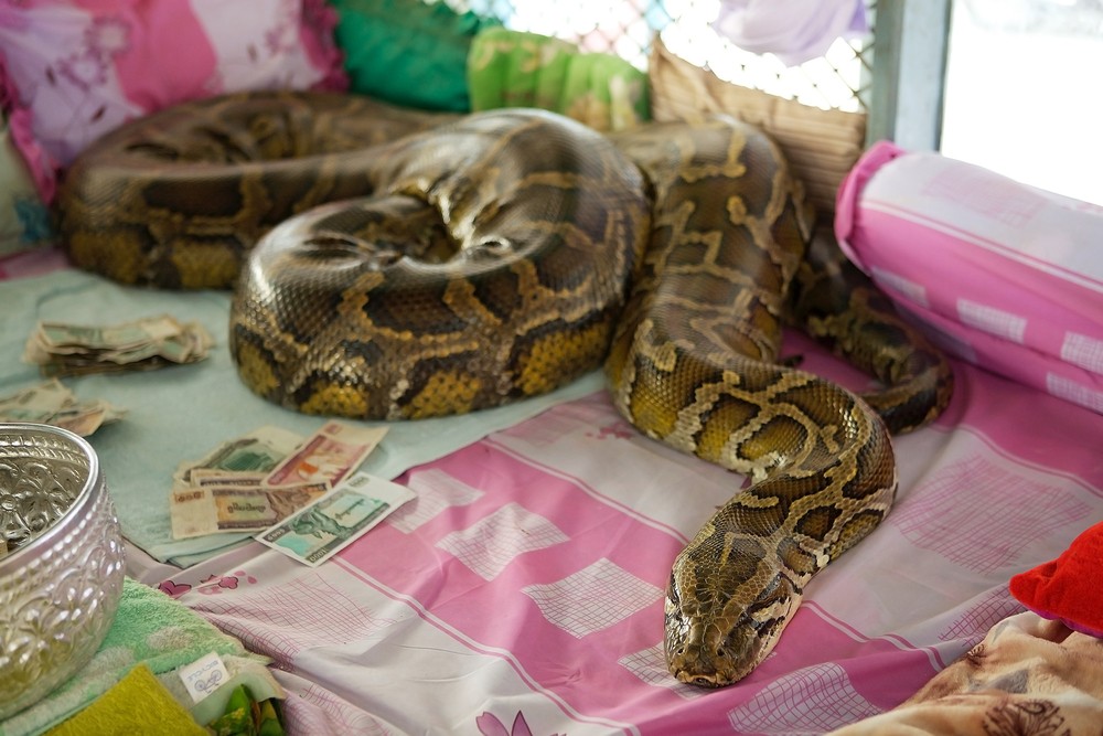 Temple aux serpents en Birmanie