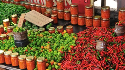 A la découverte de la vie locale