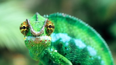 Pour les grands et les petits