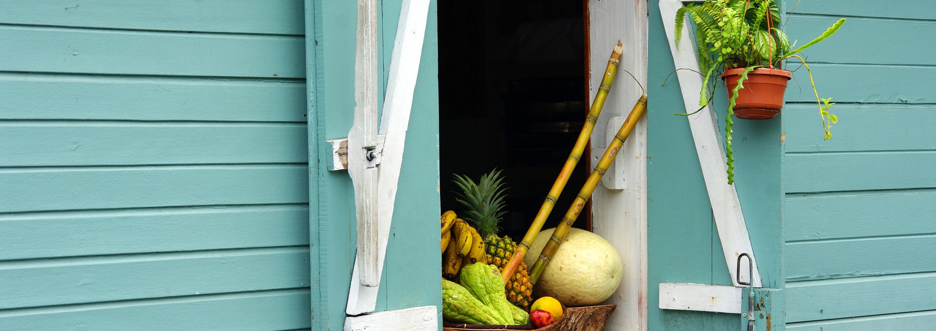 La grande immersion créole en liberté chez l’habitant