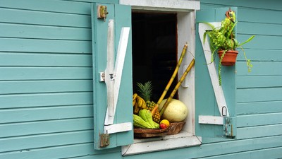 La grande immersion créole en liberté chez l’habitant