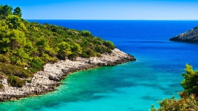 Frénésie de l’été