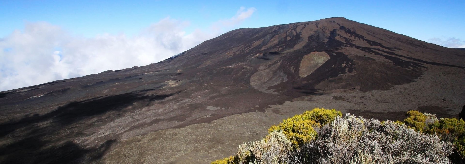 Exploration en famille : faune, flore et volcan