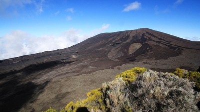 Exploration en famille : faune, flore et volcan