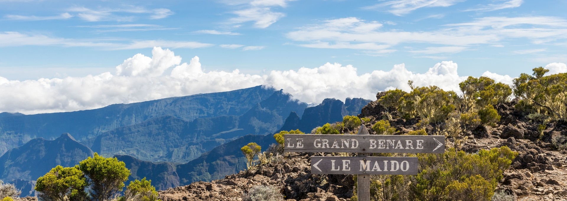 Charme et aventures pour tous en liberté