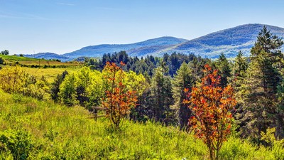 Frémissement de l’automne