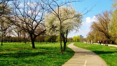 Enthousiasme du printemps