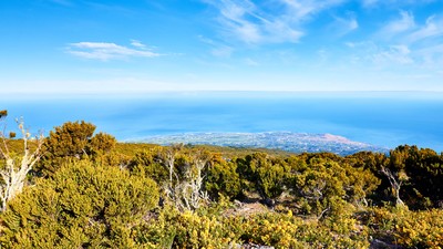 Les Hauts et les Bas de La Réunion en tout confort