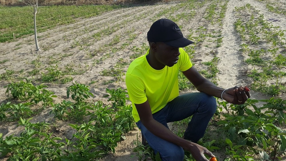 Abdou, notre guide