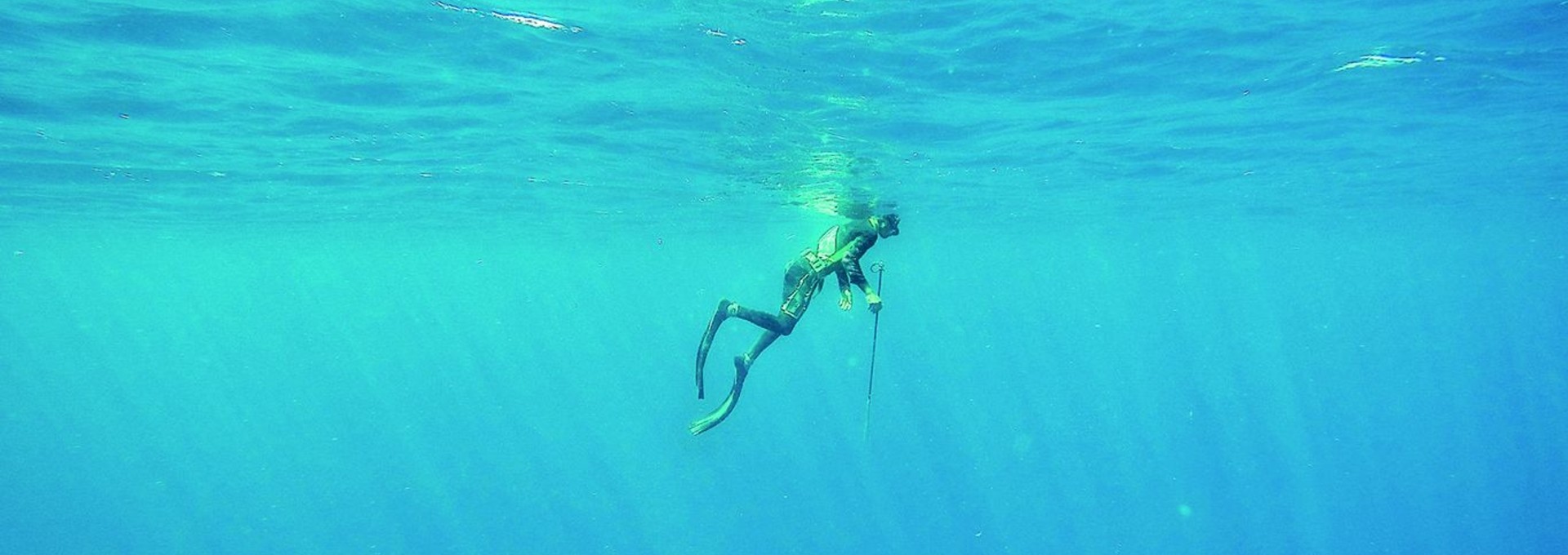 Snorkeling et pêche du Poisson Lion