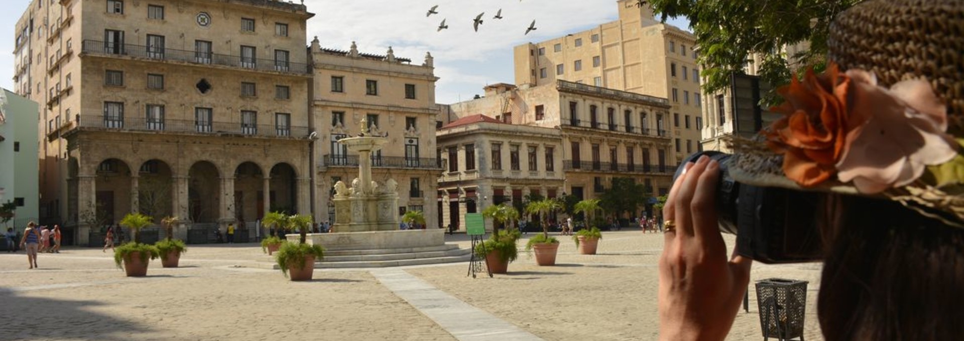 Safari photo à La Havane