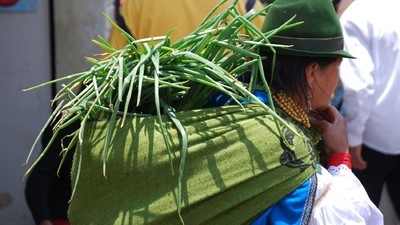 Je suis allée au marché Otavalo en Equateur