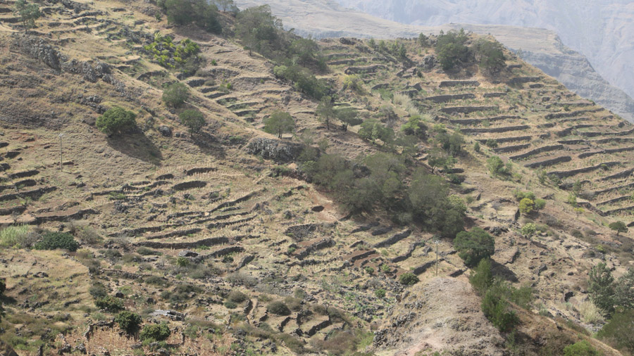 Terrasses à Santo Antao