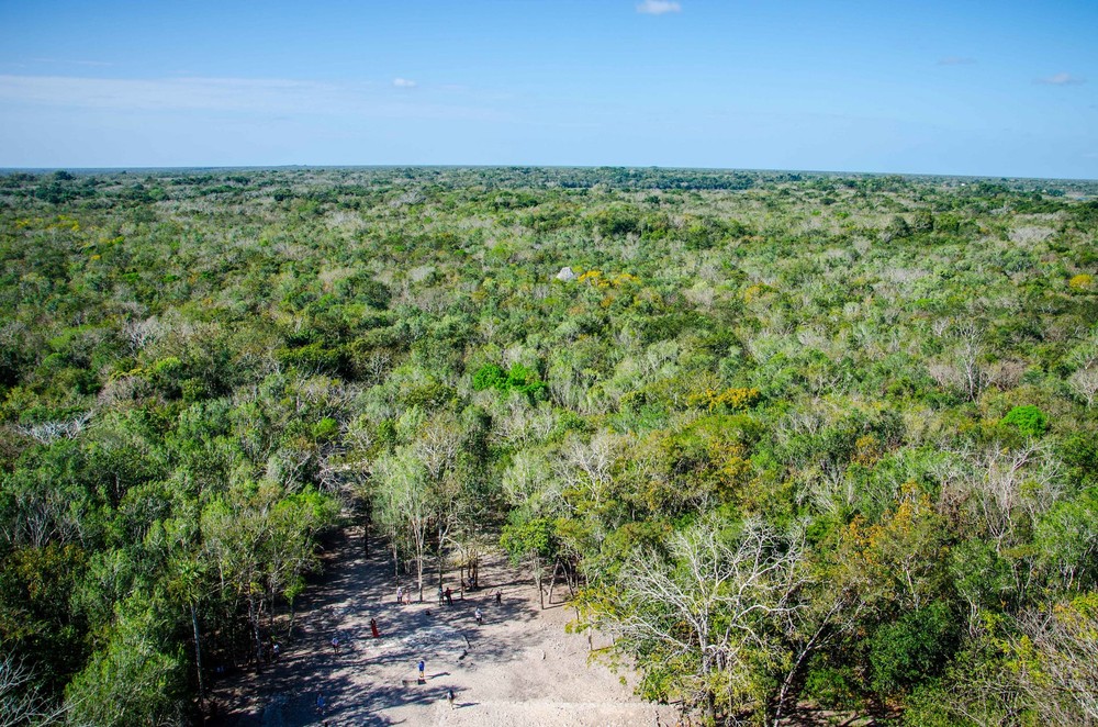 Vue depuis le Nohoch Mul à Coba