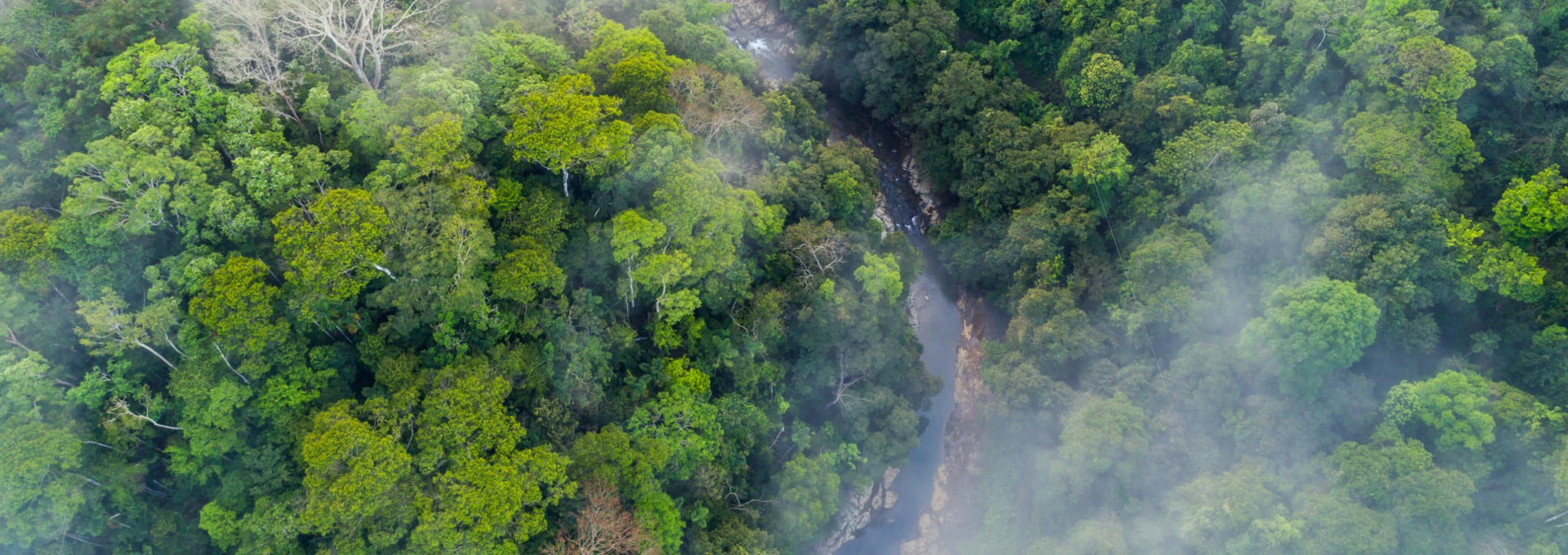 Communauté rurale de los Campesinos