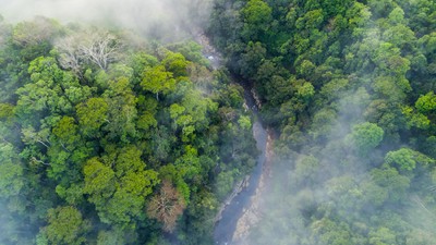 Communauté rurale de los Campesinos