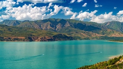 Frénésie de l’été