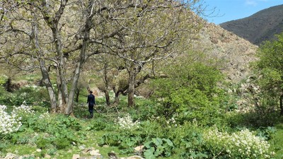 Enthousiasme du printemps