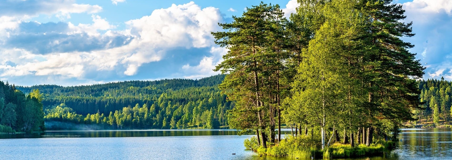 L’essentiel de la Norvège