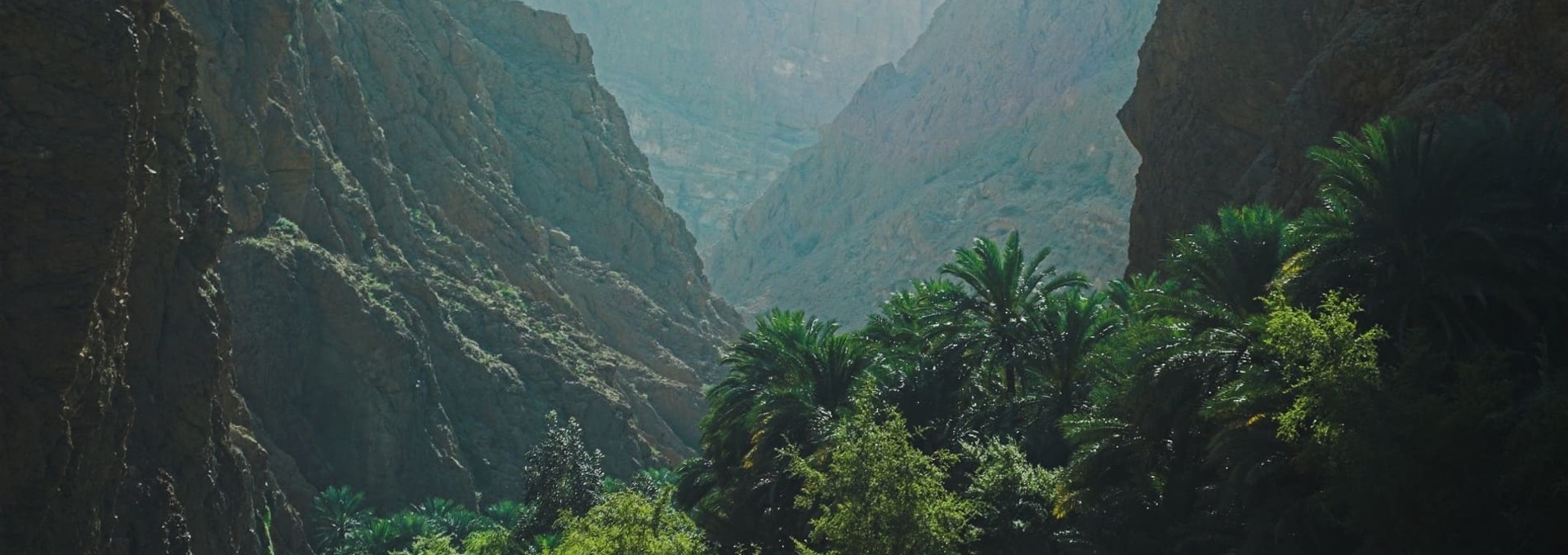 Balades et découvertes du centre d’Oman