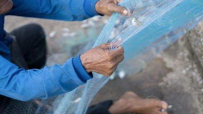 Au Brésil : pêcheurs et dauphins, même combat !