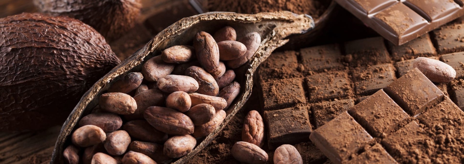 Visite d’une fabrique locale de chocolat
