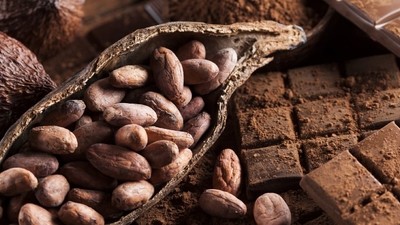 Visite d’une fabrique locale de chocolat