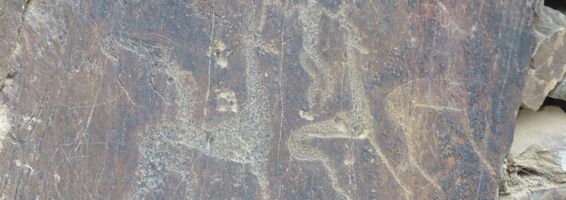 Chasse aux trésors préhistoriques